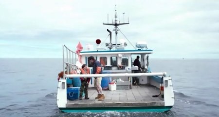 Манчестер у моря (2016) Манчестер у моря (2016)