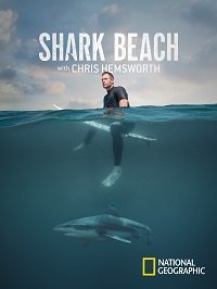 Фильм Акулий пляж с Крисом Хемсвортом (2021)