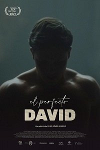 Фильм Идеальный Давид (2021)