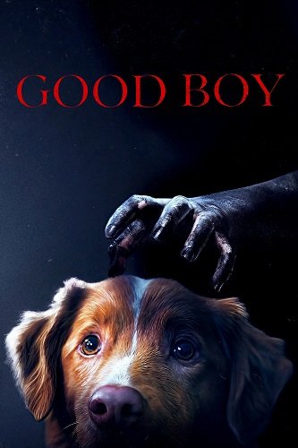 Глазами пса (2025)