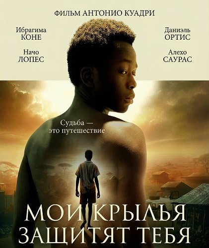 Мои крылья защитят тебя (2024)